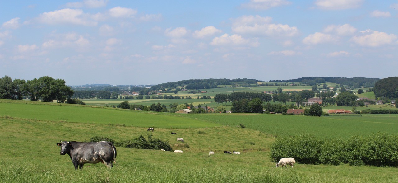 natuurfoto Vlaamse Ardennen